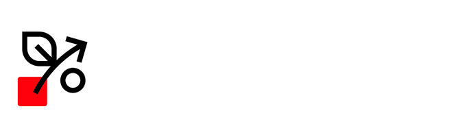 Logo soluzioni